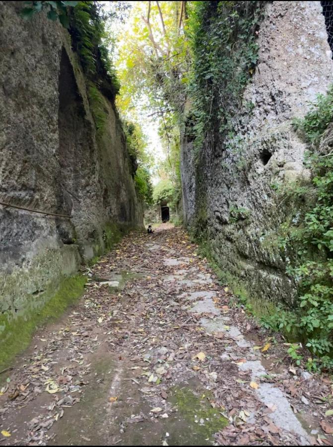 Affittacamere Licenza N.1 Presso La Magica Torre Pitigliano Kültér fotó